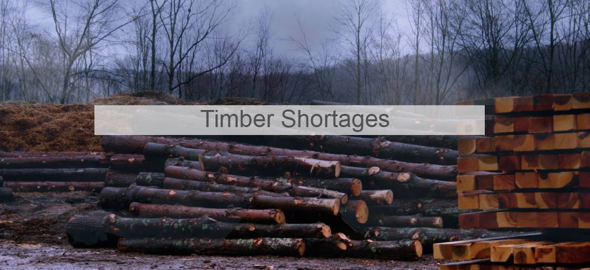 Timber shortage explained